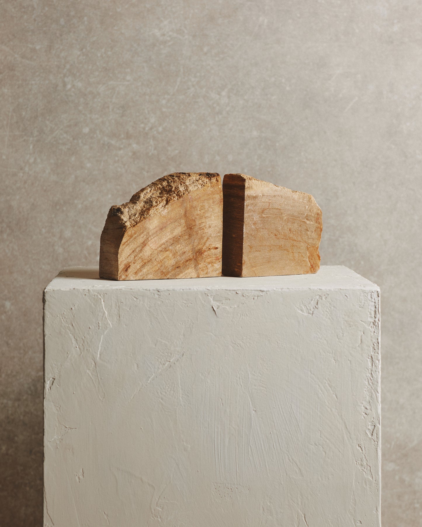 Pair of Beige Relic Petrified Wood Bookends