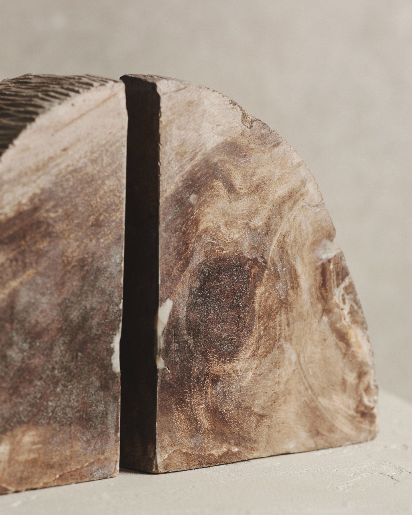 Pair of Brown Relic Petrified Wood Bookends