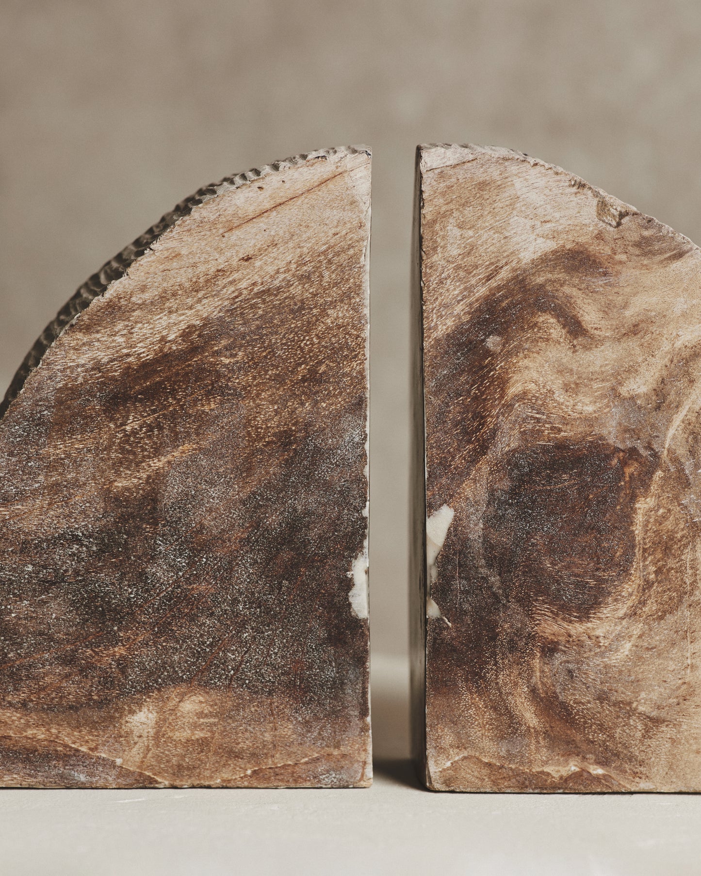 Pair of Brown Relic Petrified Wood Bookends