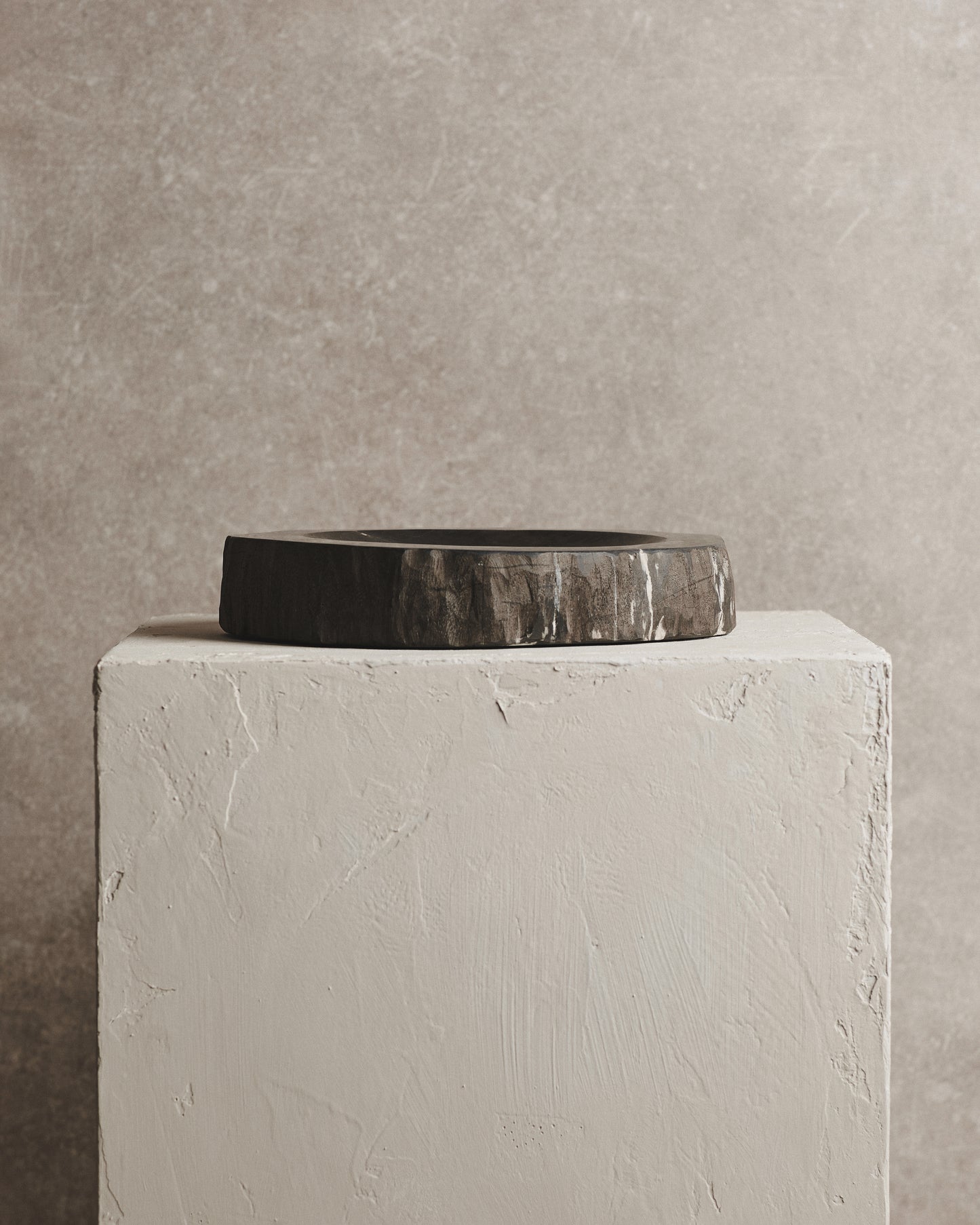 Relic Petrified Wood Bowl | Black