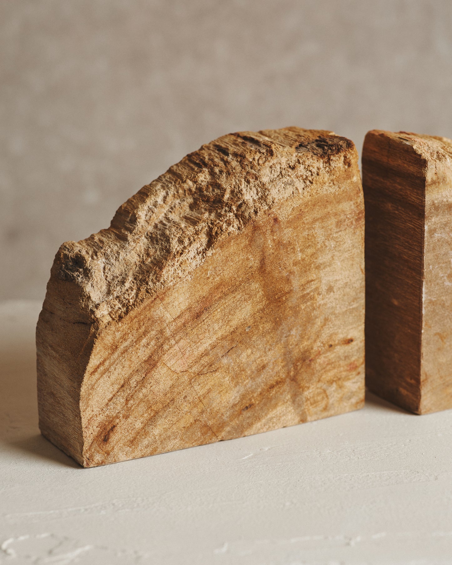 Pair of Beige Relic Petrified Wood Bookends