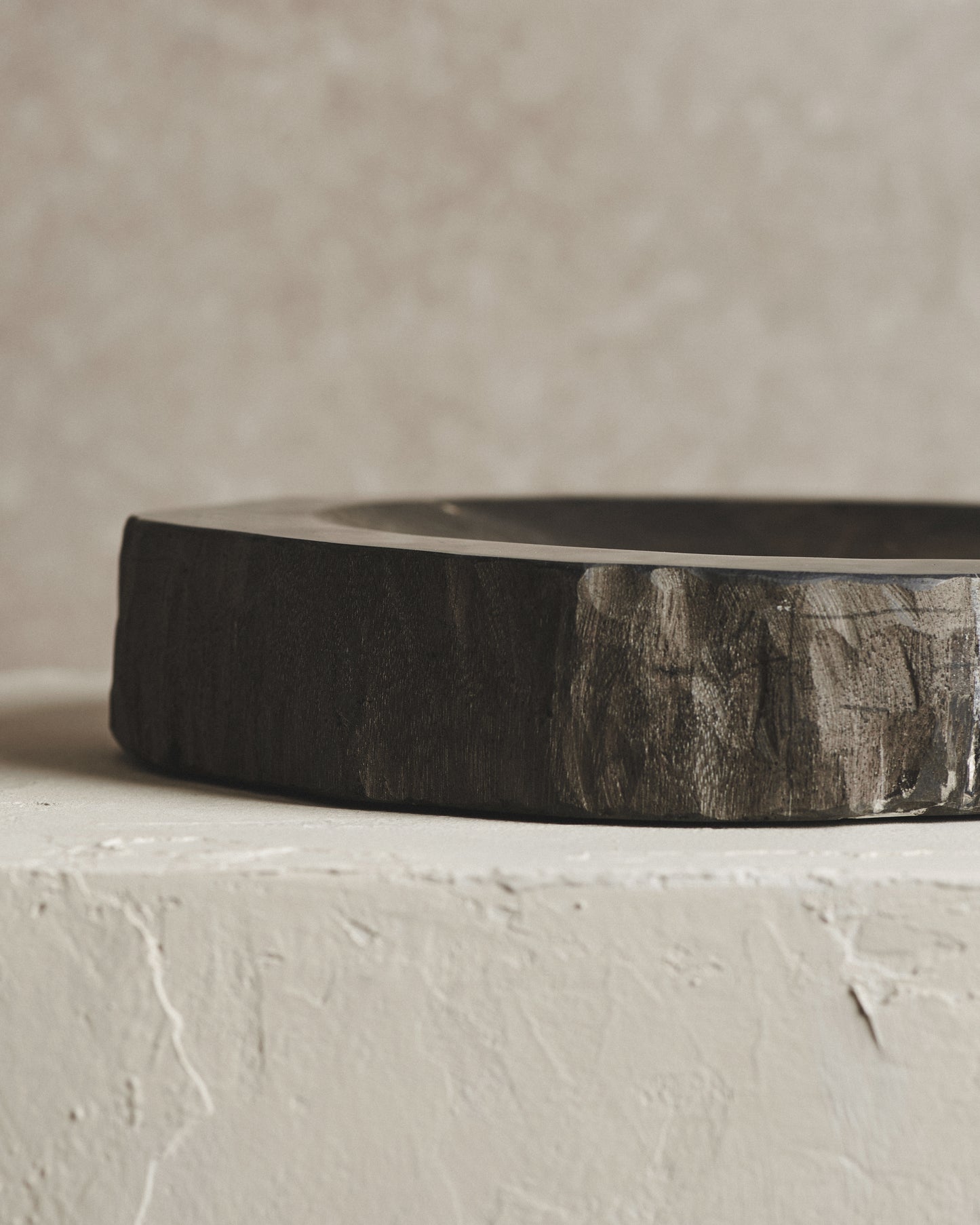 Relic Petrified Wood Bowl | Black