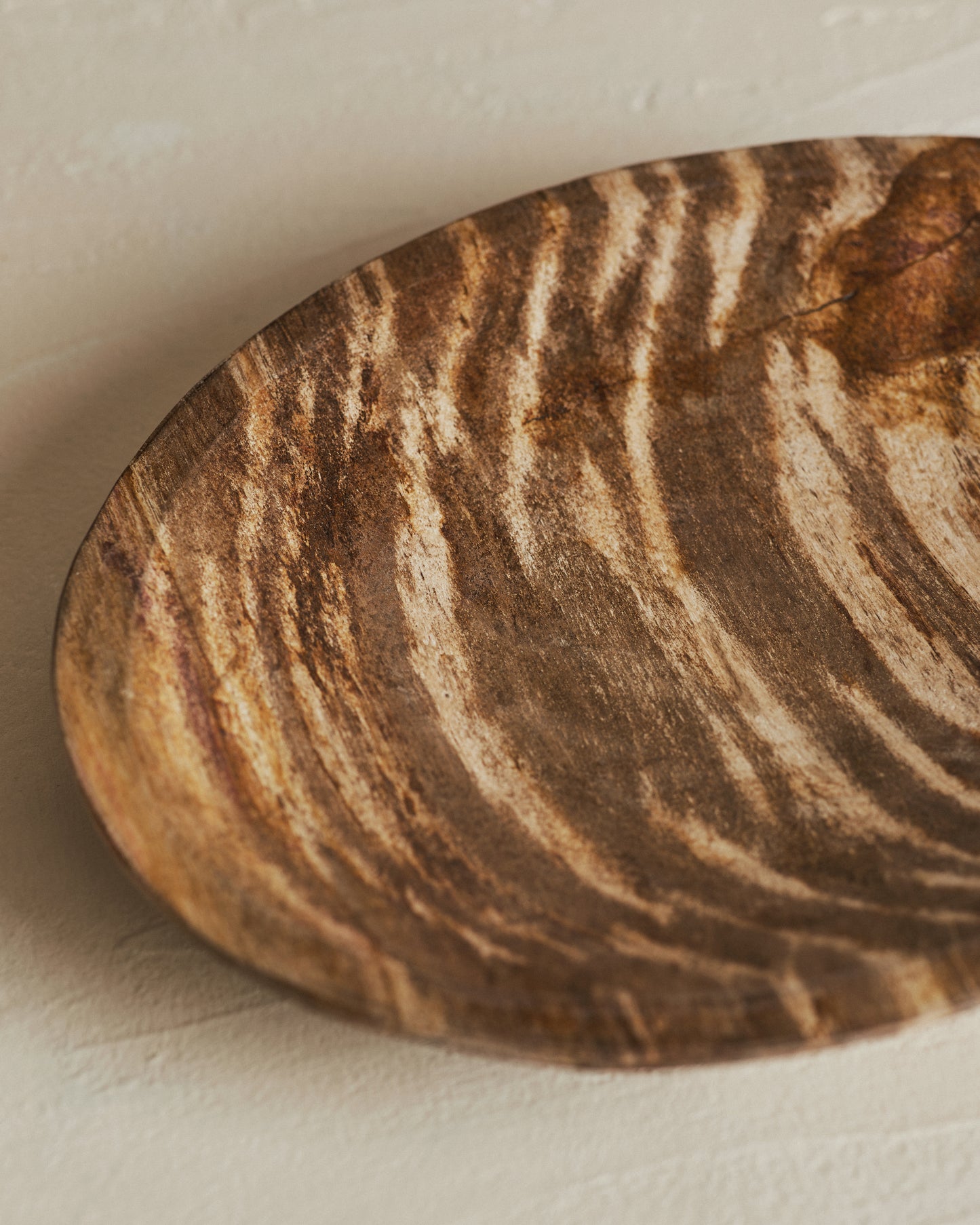Relic Petrified Wood Bowl Small