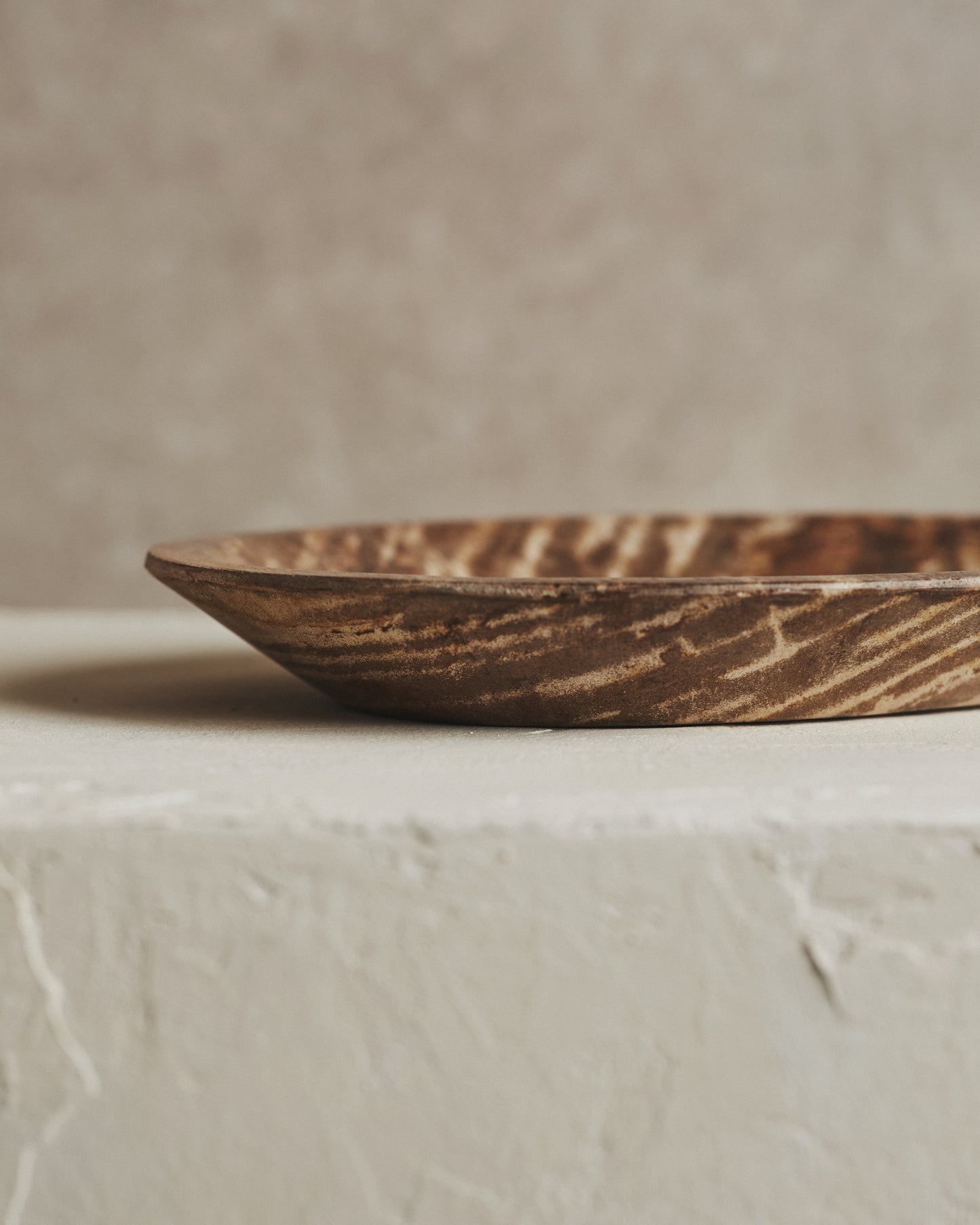 Relic Petrified Wood Bowl Small