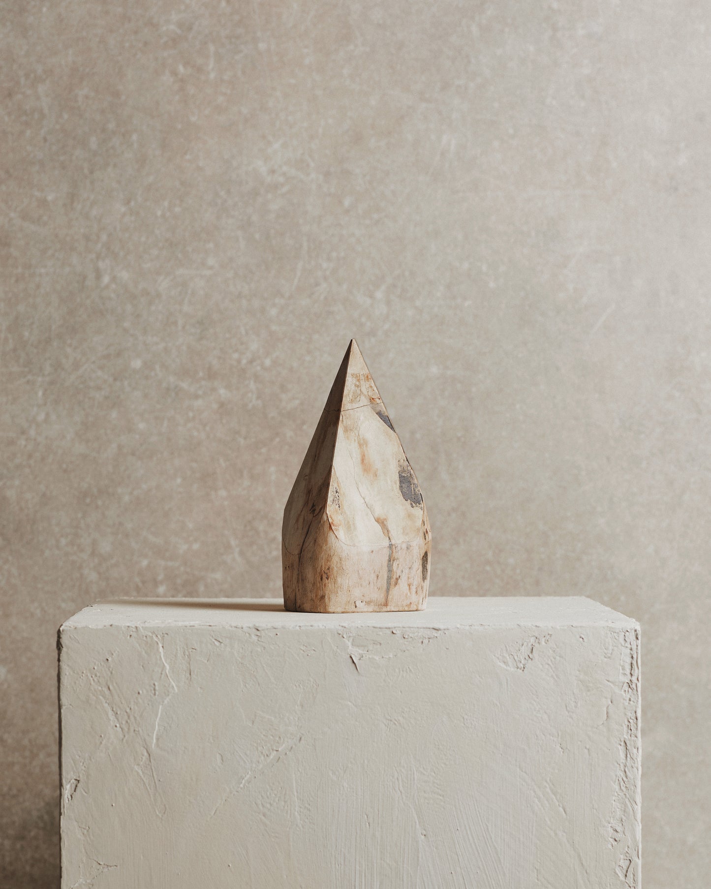 Relic Petrified Wood Sculpture