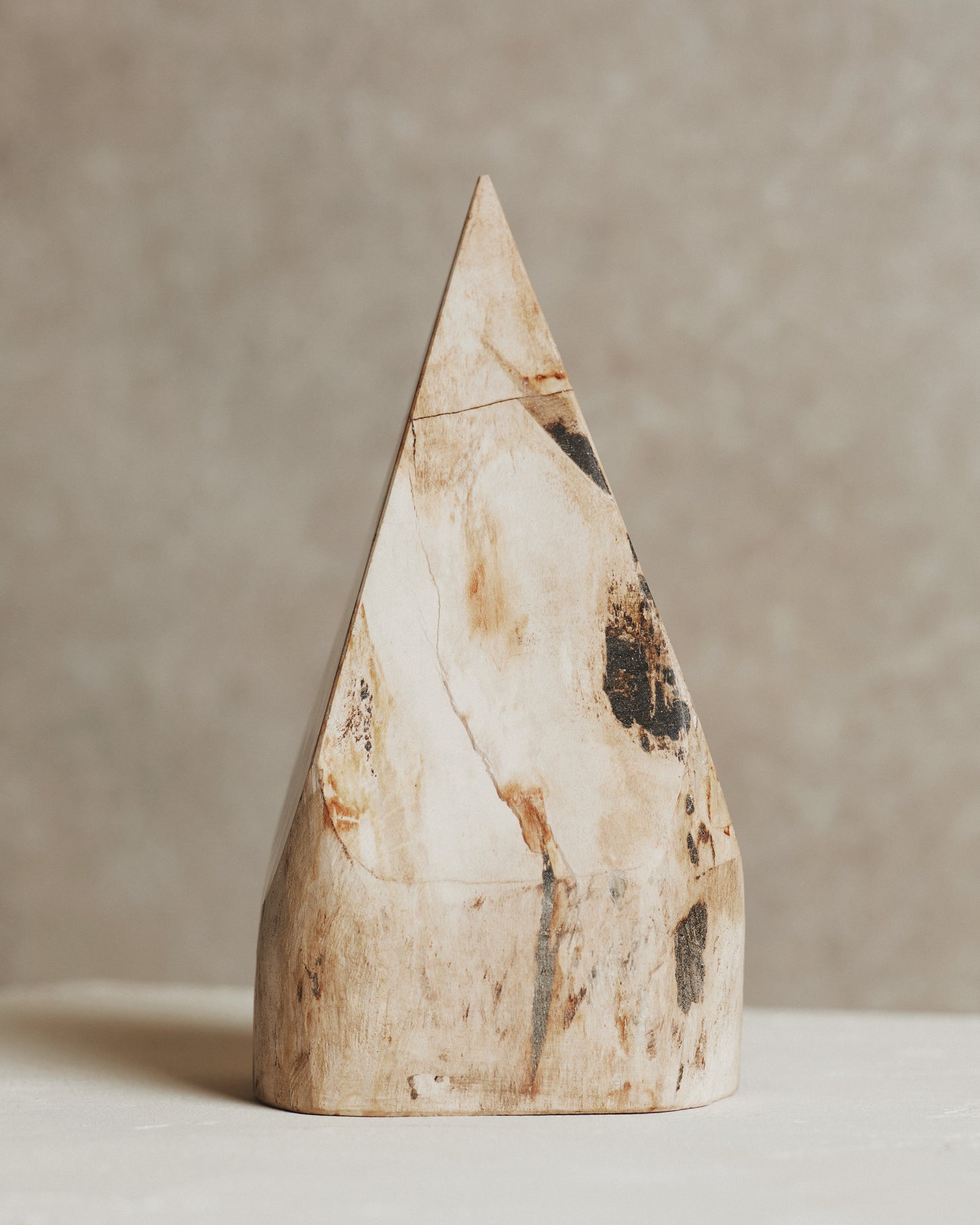 Relic Petrified Wood Sculpture