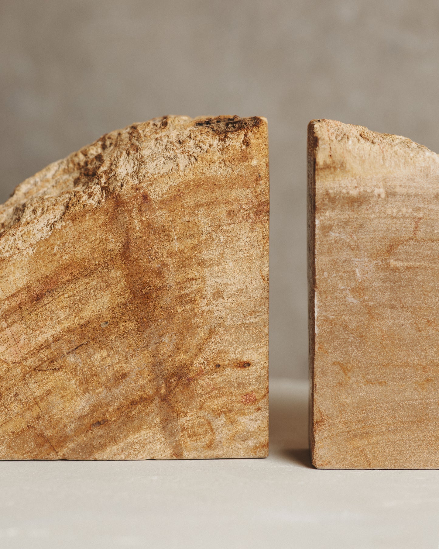 Pair of Beige Relic Petrified Wood Bookends