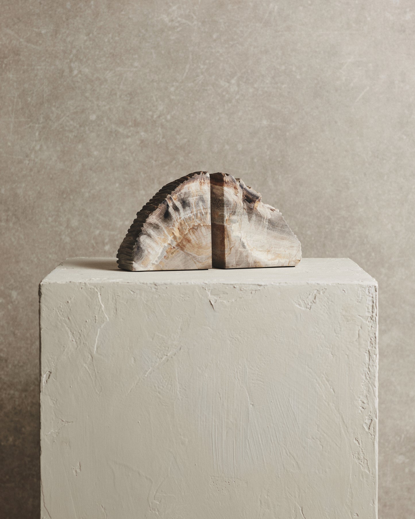 Pair of Black Relic Petrified Wood Bookends