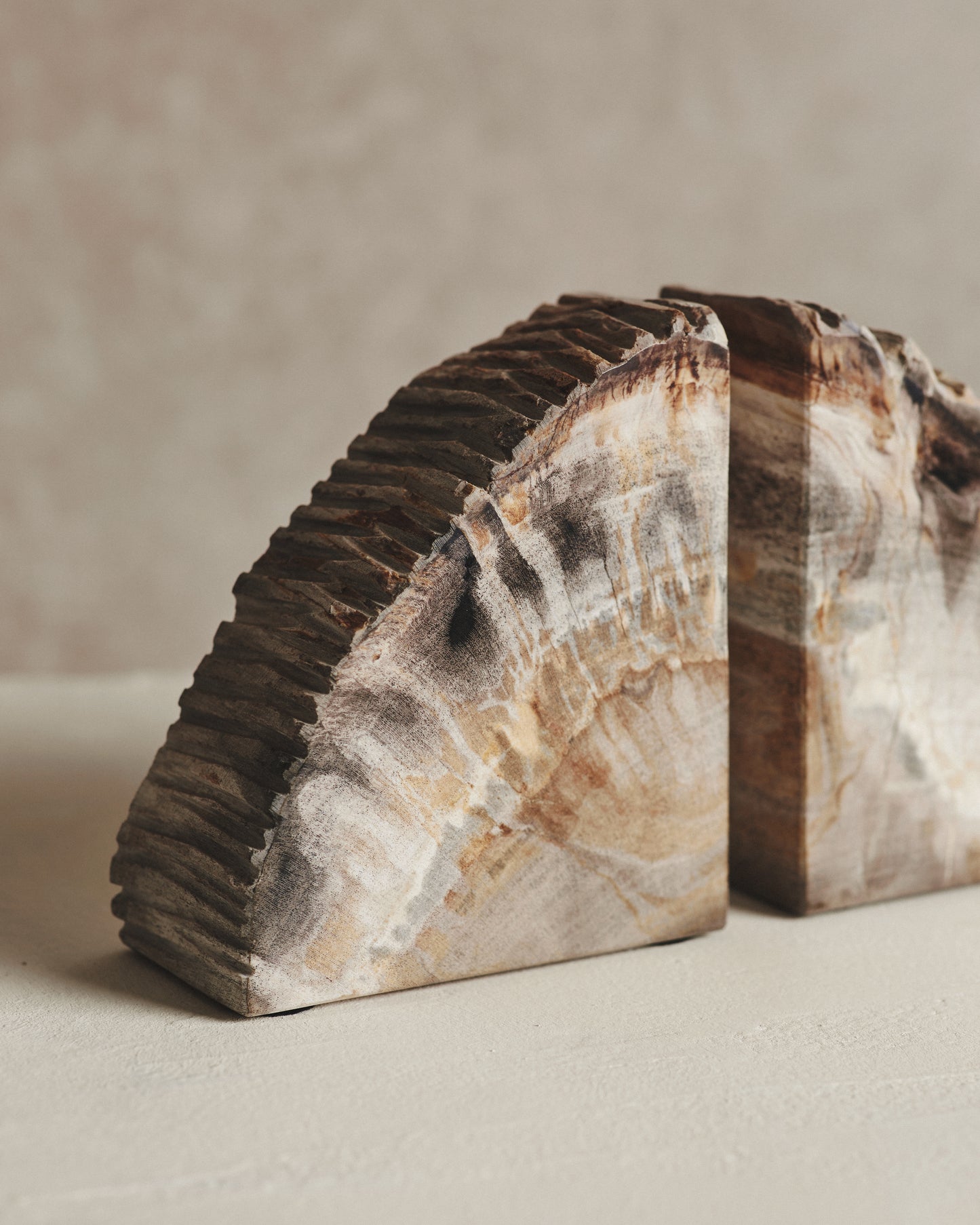 Pair of Black Relic Petrified Wood Bookends