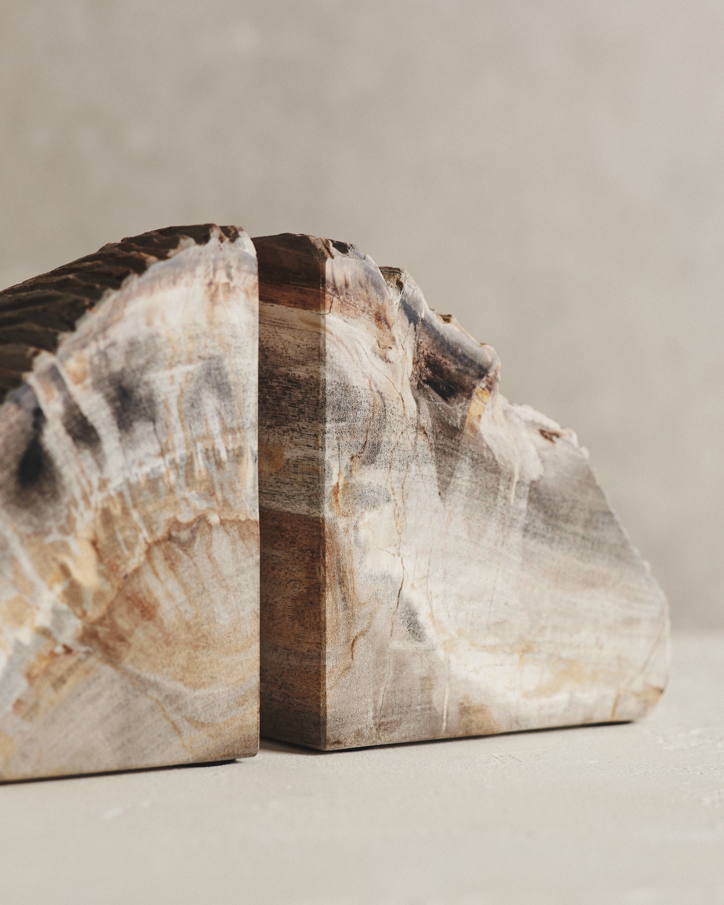 Pair of Black Relic Petrified Wood Bookends