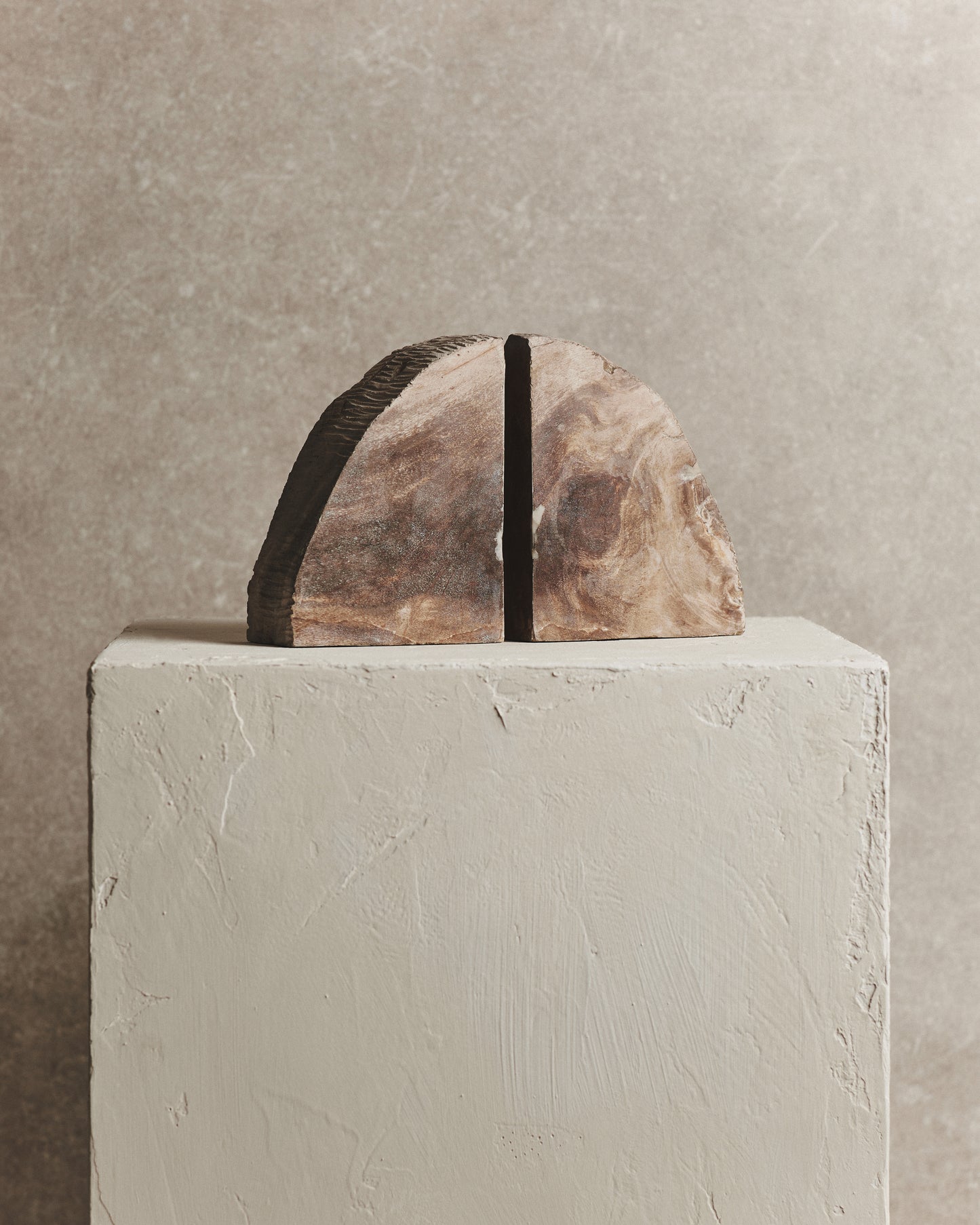 Pair of Brown Relic Petrified Wood Bookends