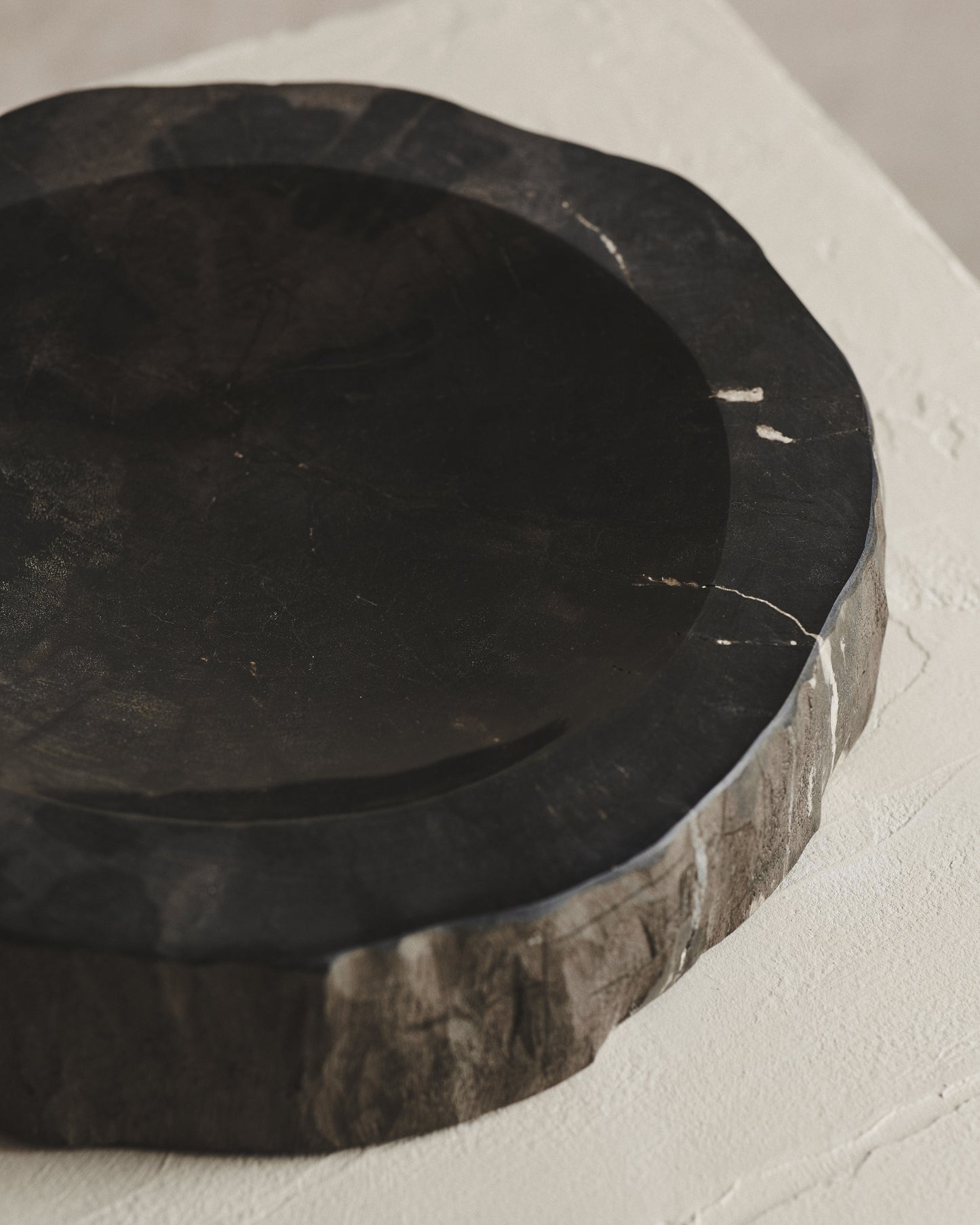 Relic Petrified Wood Bowl | Black