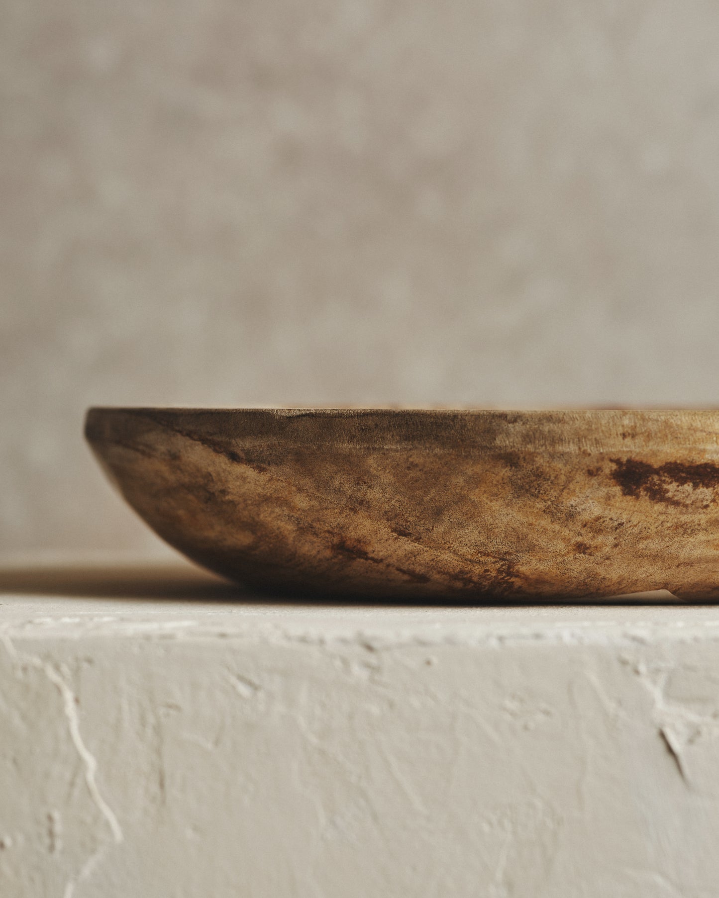 Relic Petrified Wood Large Bowl