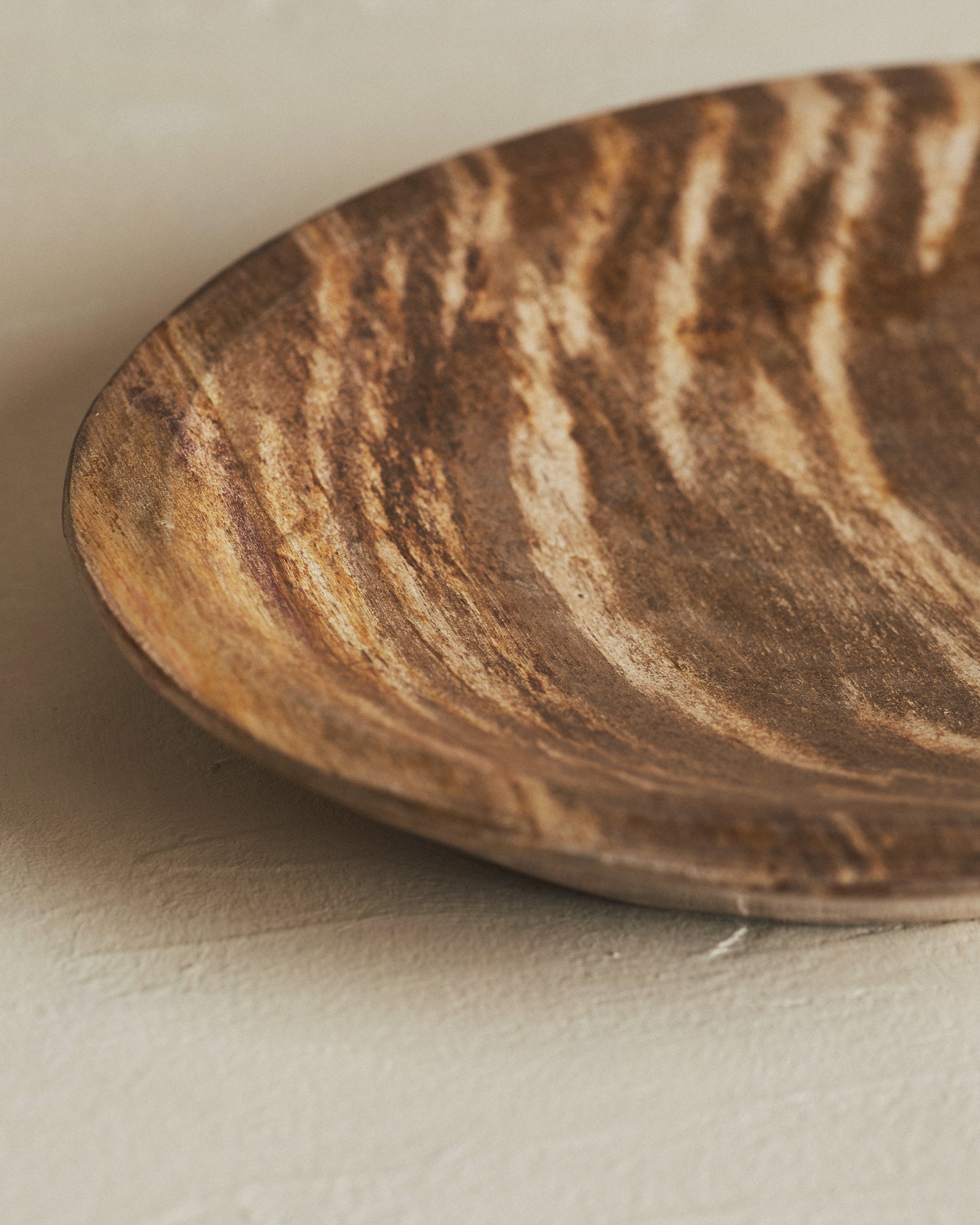 Relic Petrified Wood Bowl Small