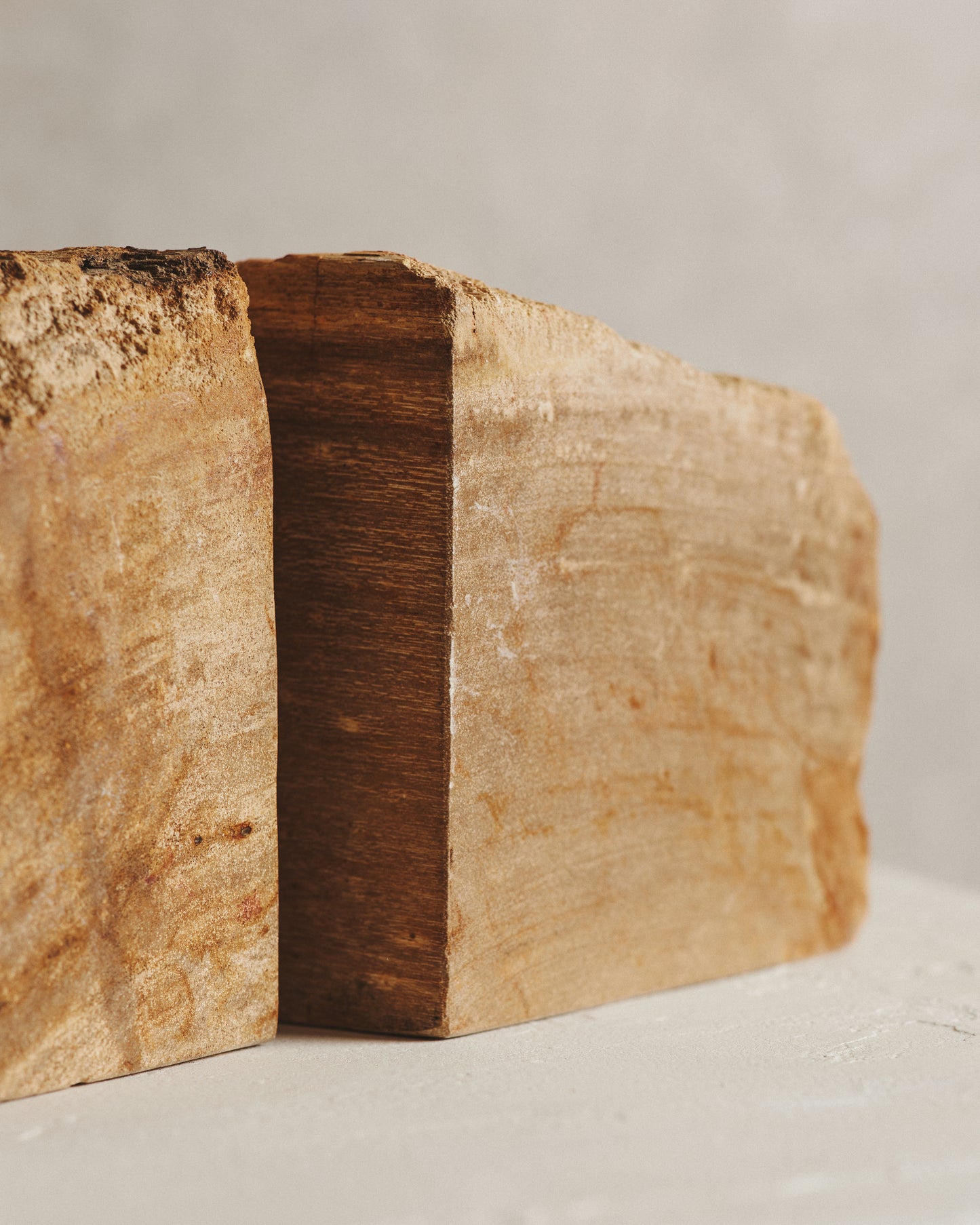 Pair of Beige Relic Petrified Wood Bookends