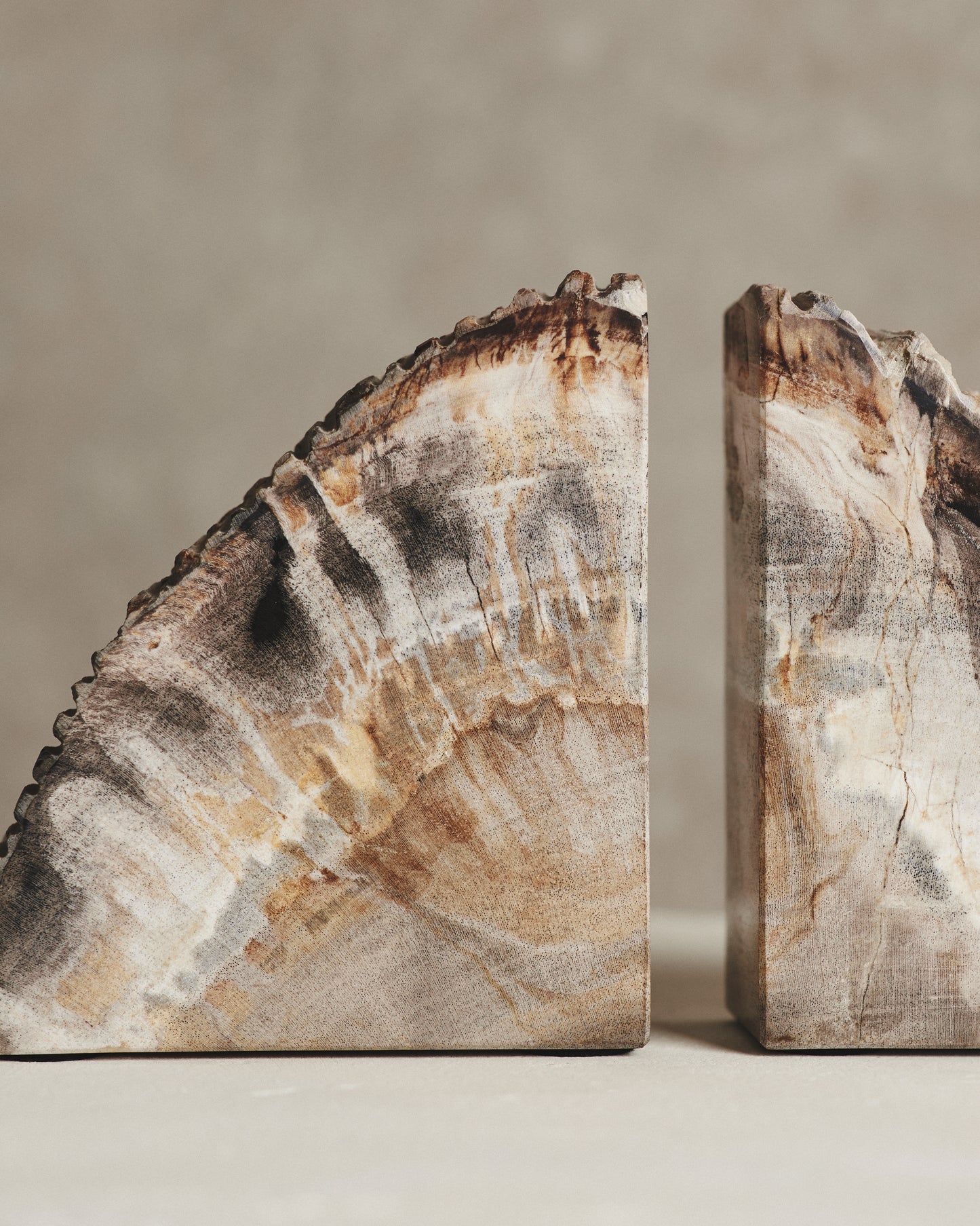 Pair of Black Relic Petrified Wood Bookends